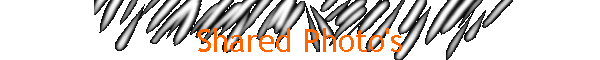 Shared Photo's
