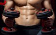 6 great training gears and apparatus for Arm wrestling